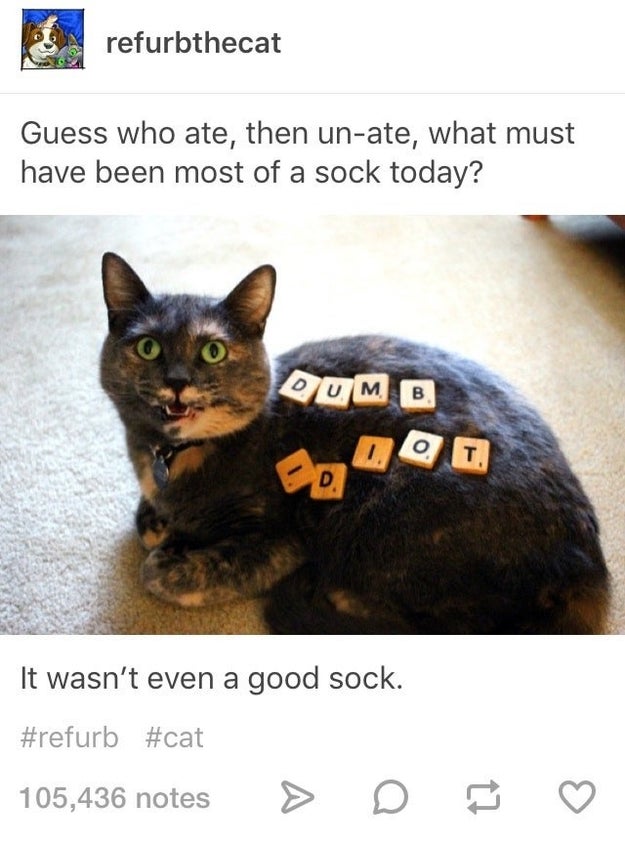 This sock monster.
