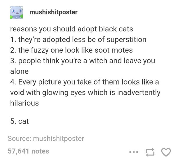 The very best type of cat: black cats.