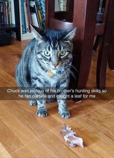 Chuck, the master hunter.