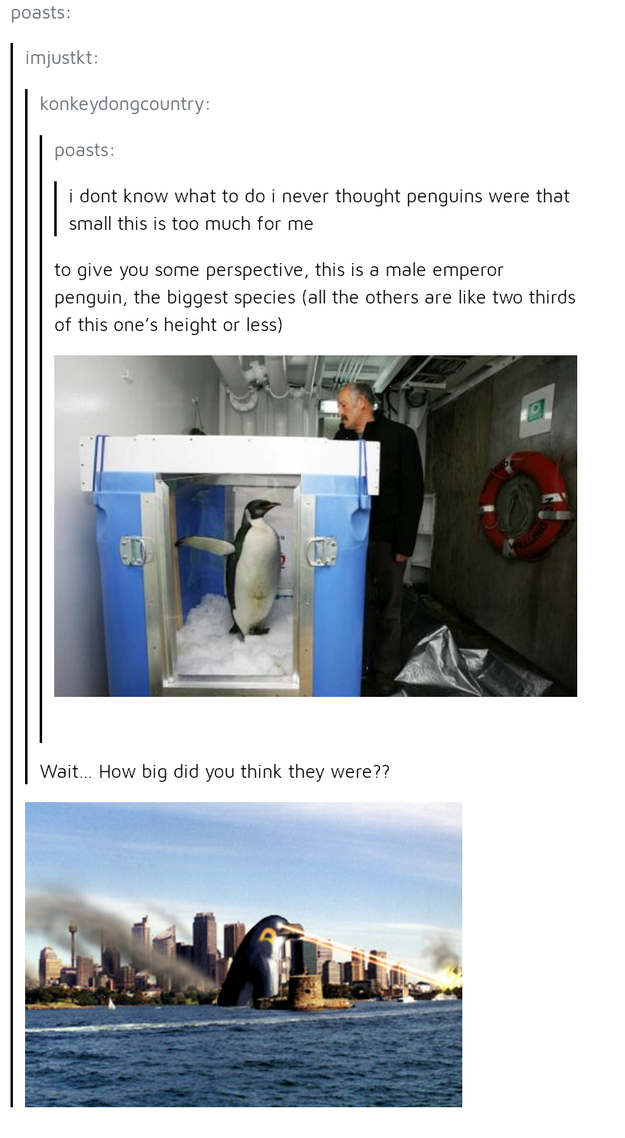 The post with vastly erroneous penguin size estimates: