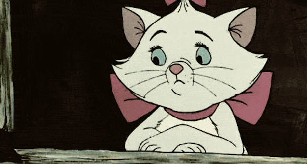 People constantly try to dump the ashes of their loved ones on Disney property.