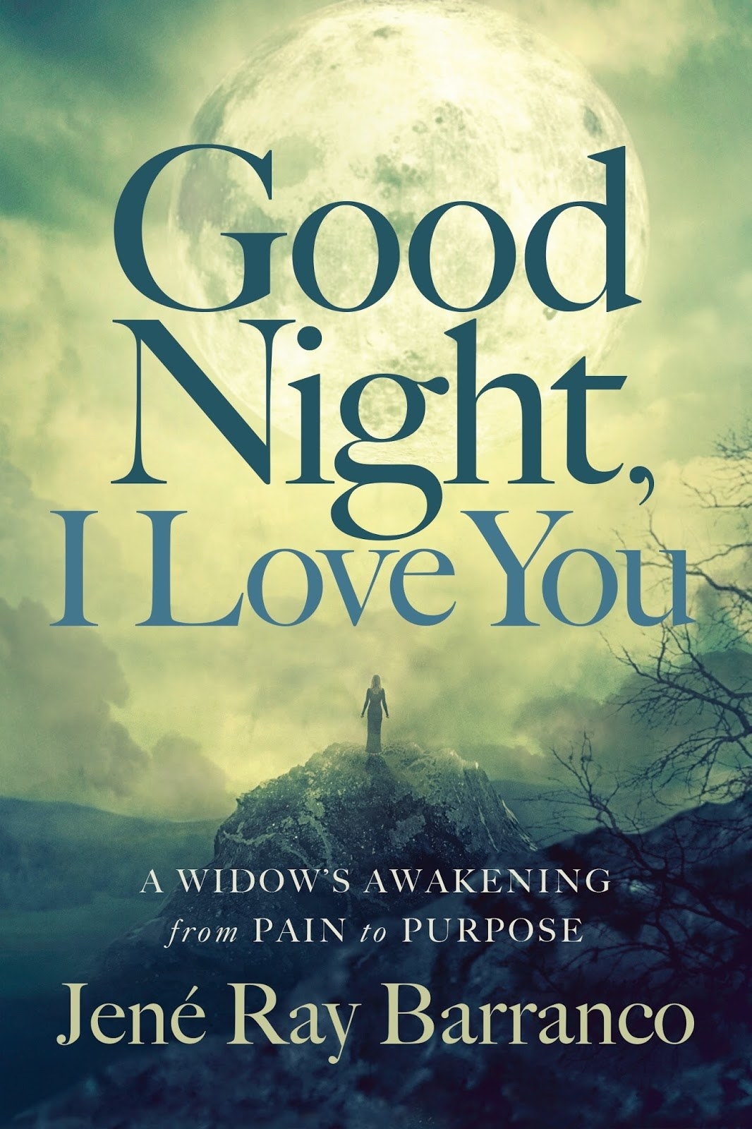 Single motherhood is a choice for some, and the result of tragedy for others. Jené Ray Barranco shares how she found strength to carry on and mother her three teens after her husband's unexpected death. Writing helped Barranco grieve and turn her pain into purpose. Good Night, I Love You, is a touching read for any mother who has experienced loss.