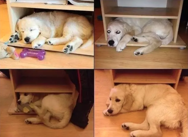 You're all grown up!