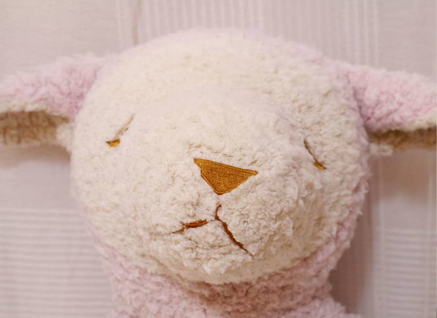 大事な人形を ぬいぐるみ病院 にあずけたら泣けた話