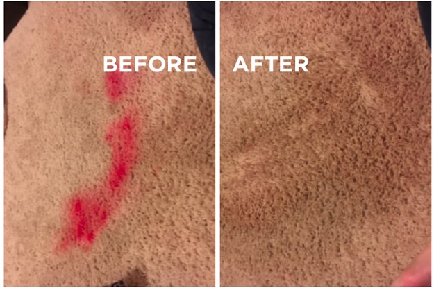 vanish pet stain remover