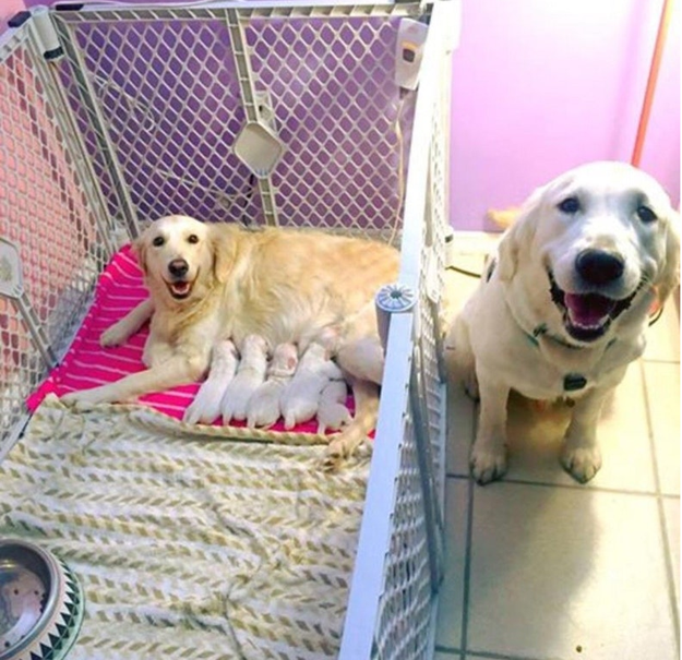These new parents who are just REALLY excited about starting their family.