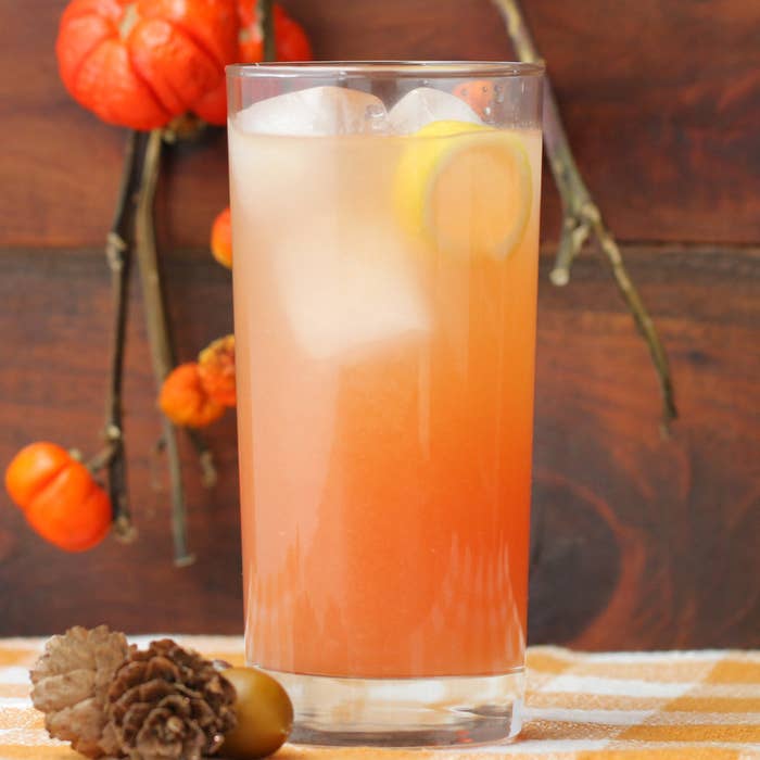 Happy valentine's day Safari Cocktail