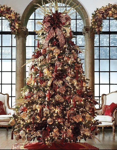 what kind of christmas tree should you get this year what kind of christmas tree should you get this year