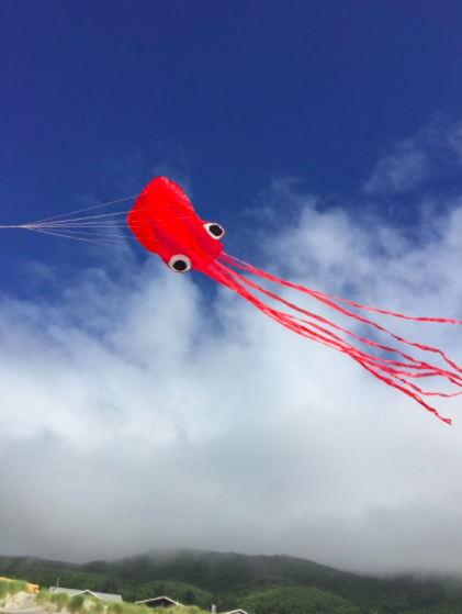 red octopus kite