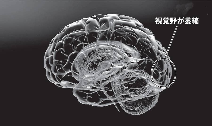 父と娘はいつまで一緒に風呂に入れる 子どもの脳を傷つける子育て 父と娘はいつまで一緒に風呂に入れる 子どもの脳を傷つける子育て