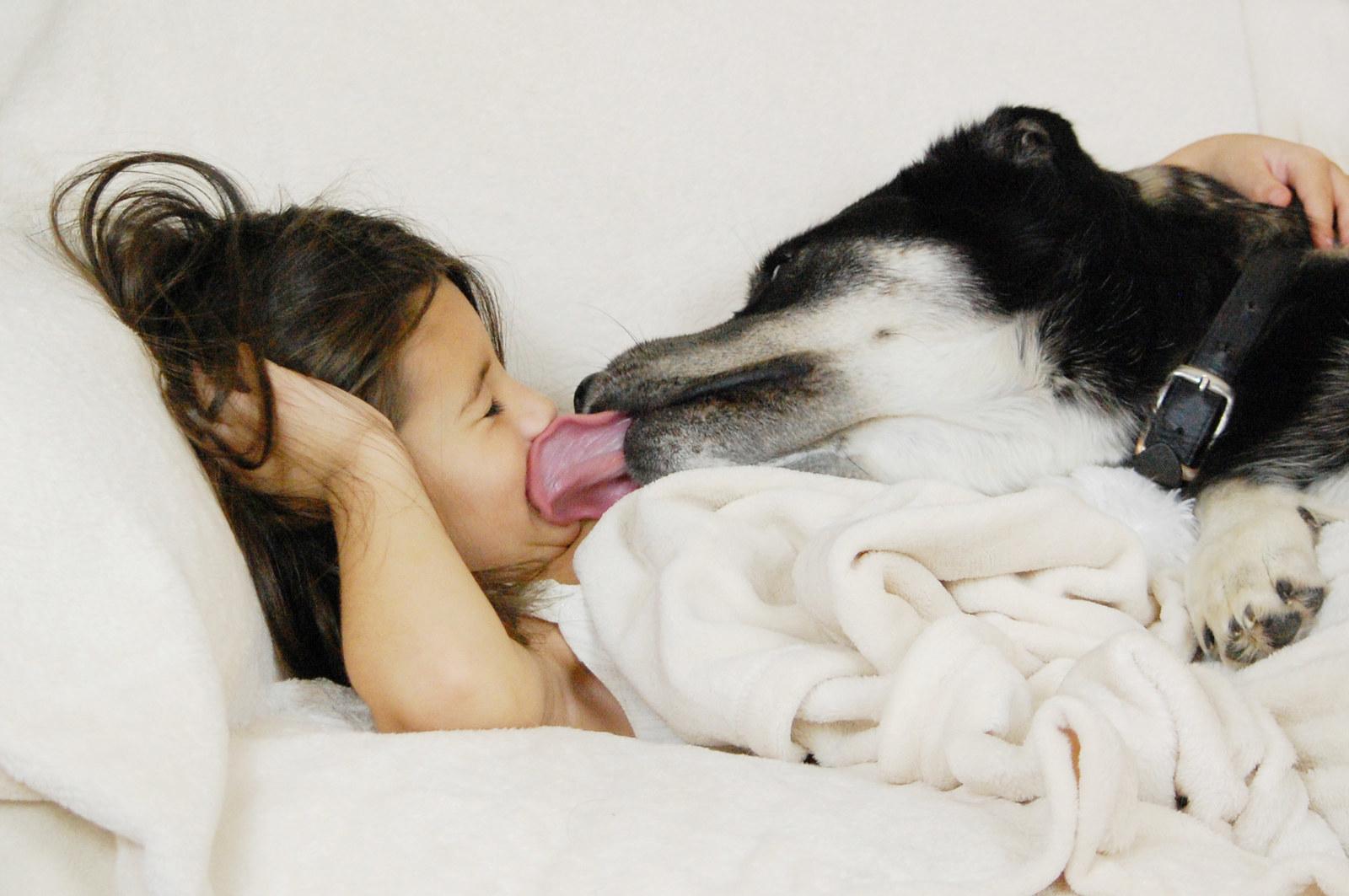Here's Why You Shouldn't Let Your Dog Lick Your Face