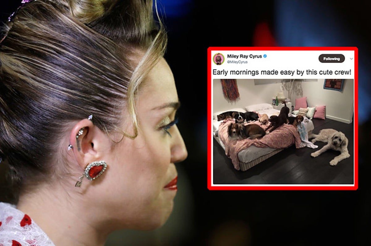 1200px x 797px - Can You Smell This Picture Of Miley Cyrus' Bed?