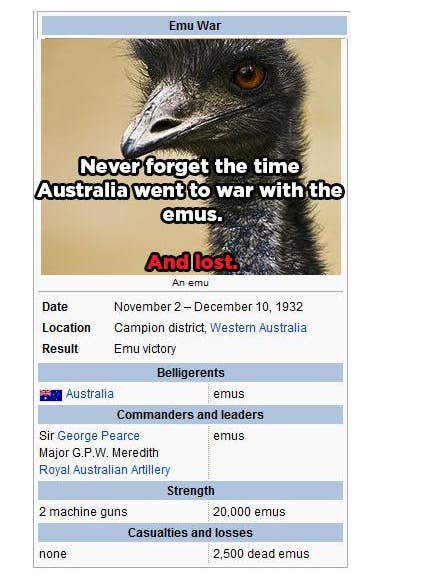Lavet til at huske velstand Trafikprop Literally Just 100 Fucking Hilarious Australian Memes