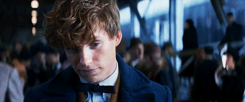 We Finally Know The Title For The "Fantastic Beasts ...