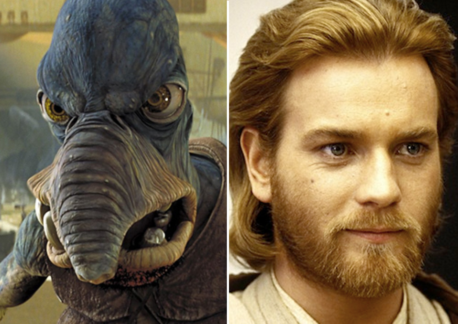 Credits Will Do Fine: Watto And Qui-Gon Jinn - Most Memorable Quotes From  Star Wars 