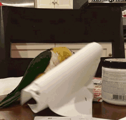 Antes fossem só currículos!