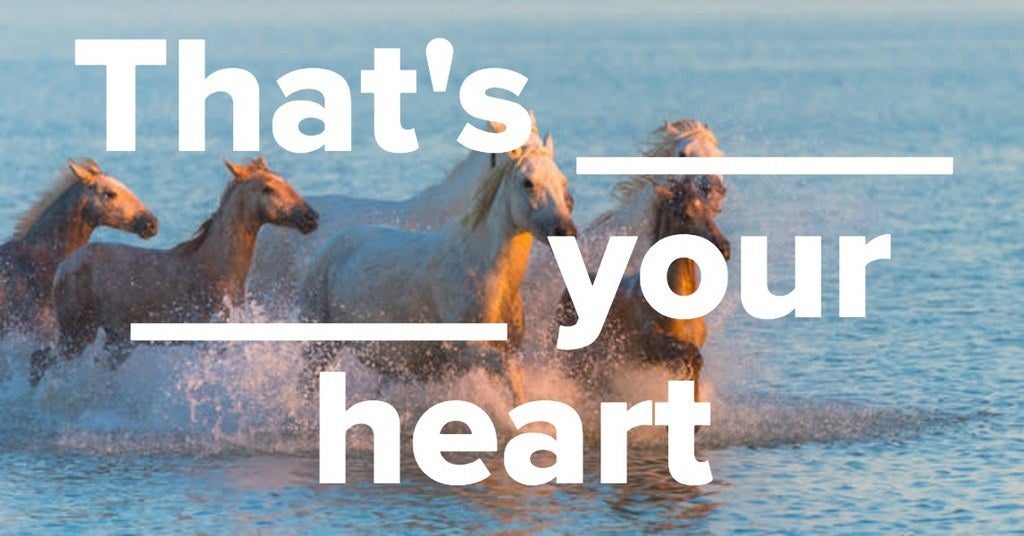 How Well Do You Remember "The Horses" By Daryl Braithwaite?