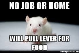 When rewards are predictable or easy to obtain, they become less desirable. This has been proven by experiments such as Skinner’s Box, which showed that when over-rewarded, test animals will only pull levers for food when they need it. Find a balance between spoiling yourself with hours of Netflix and holding out on yourself while studying or it won’t have the effects that you desire.