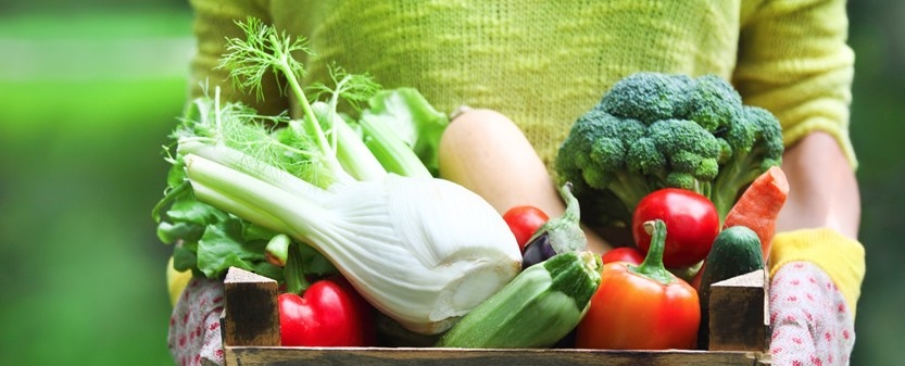 Trying to change your diet? Learn about the role of diet in your own lives and the basic concepts of nutrition.