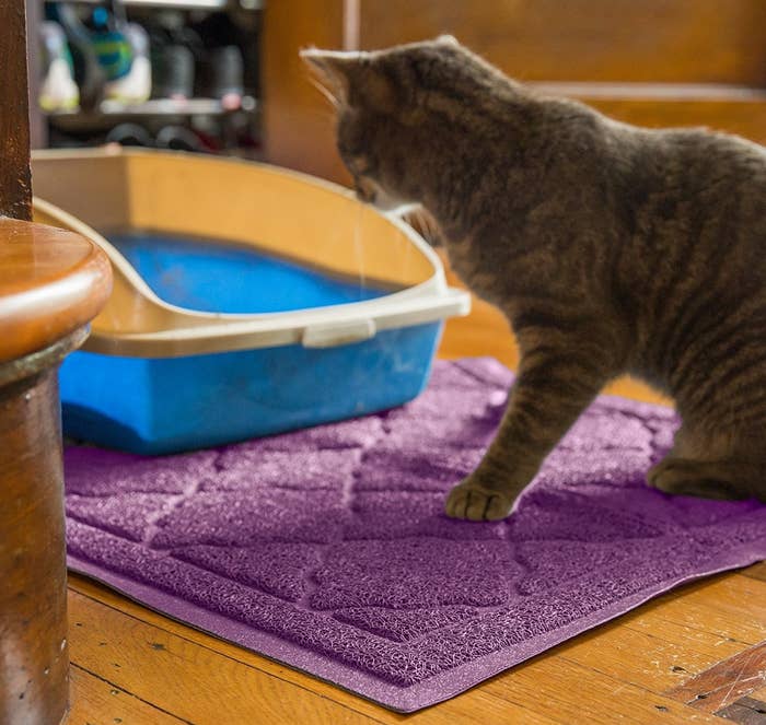 Promising Review: "The pile is designed to grab and trap litter from little paws leaving the litter box. It is easy to vacuum, or just do like I do, and take it outdoors for a good shake now and then. Some mats are squishy and my cats won't walk on them, but this one has a nice rough texture they seem to like. Since putting this under the litter box, I have noticed a great deal less scattered litter on the floor around it, so I know it's working. I'm thinking of ordering another one to put under the feed and water bowls, to catch stray food, too." –DeborahPrice: $17.99+ Rating: 4.6 out of 5 Colors: seven