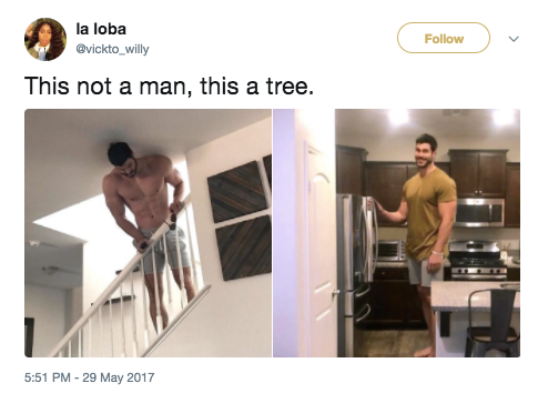 There isn't like a Victoria's Secret Fashion Show but just with Tree Man.