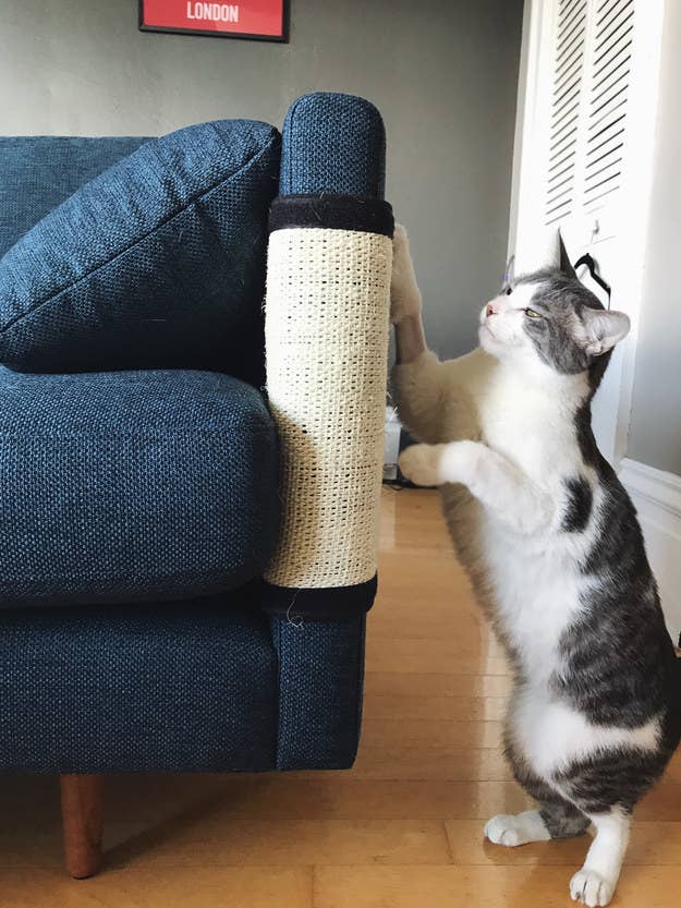 Can You Make It Through This Post Without Buying Something For