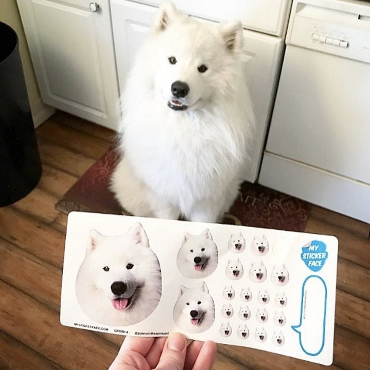 26 Custom Gifts Pet Owners Will Love *Almost* As Much As Their Pets