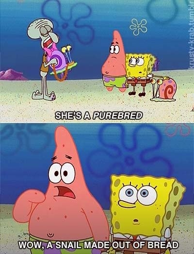 spongebob puns