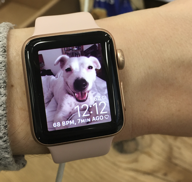 Your background screens on all your electronics are of your adorable furface.