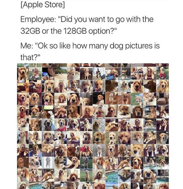 You unapologetically have 50 thousand photos of your dog on your phone but worry about space for taking more.