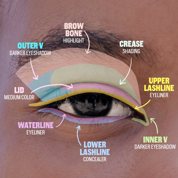 A handy guide to every itty bitty lil' part of your eye.