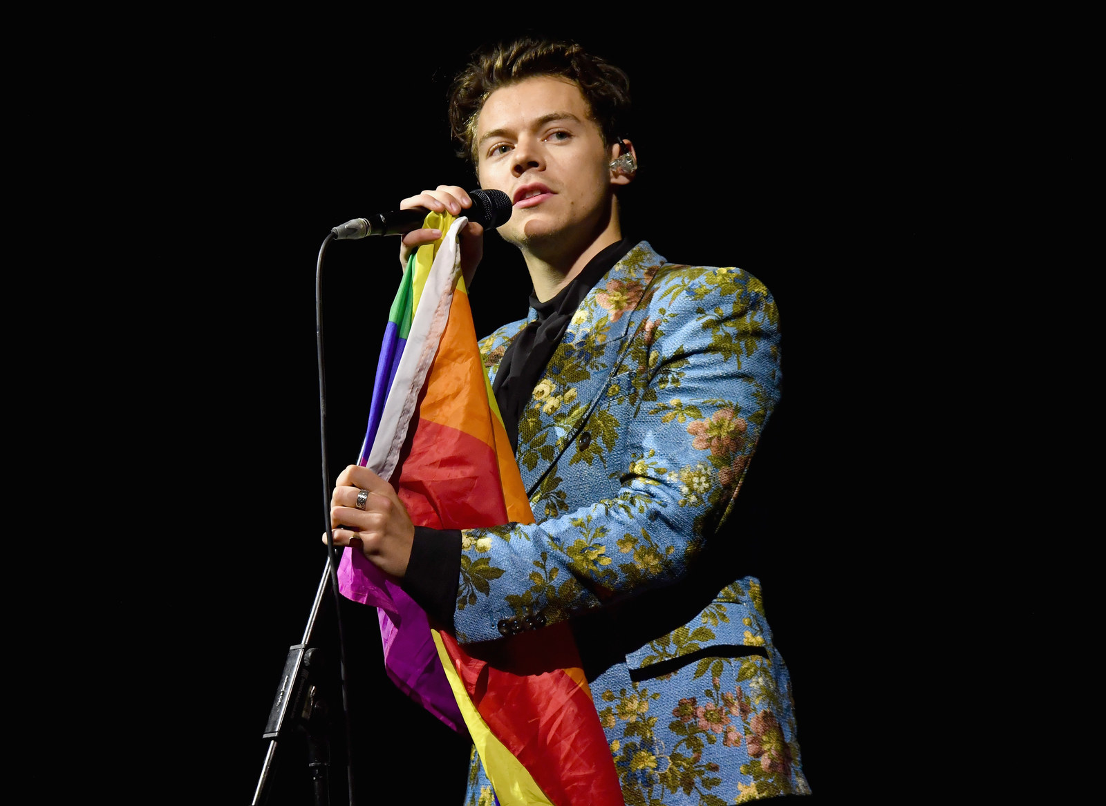 is harry styles gay yes or no