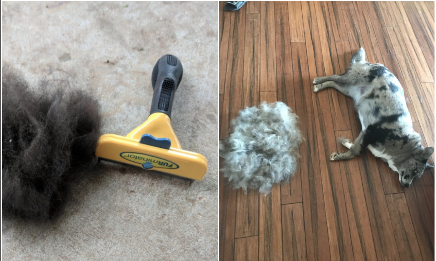 furminator reddit