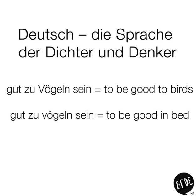 36 Dinge Die Jeder Nachvollzieht Der In Good Old Germany