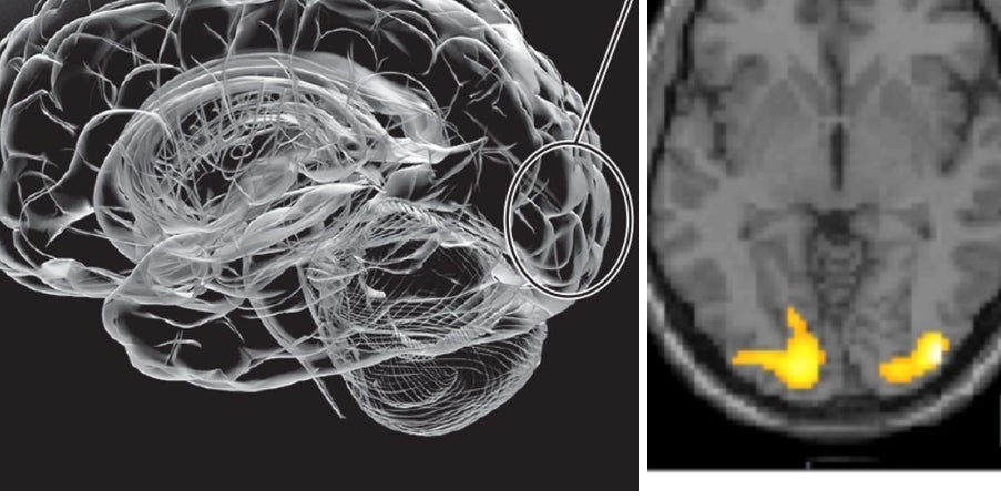 父と娘はいつまで一緒に風呂に入れる 子どもの脳を傷つける子育て 父と娘はいつまで一緒に風呂に入れる 子どもの脳を傷つける子育て