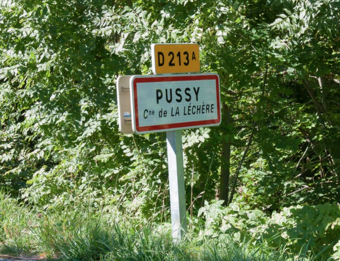 Named after a Roman land owner named, if you can believe it, Pussius (link in French).