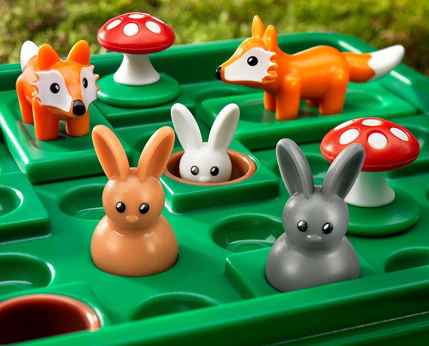 closeup of rabbits and foxes in game