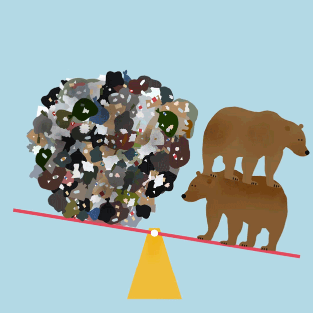 The city collects 428.8kg of household waste per person in a single year. Grizzly bears can weigh between 180kg and 360kg.