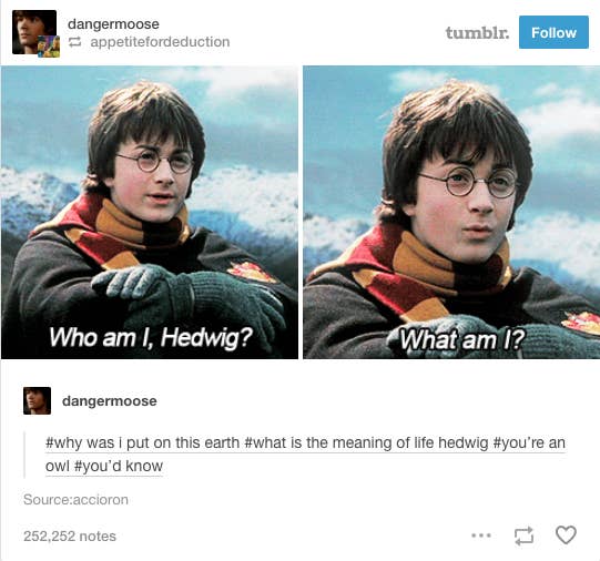 31 Jokes About Harry Potter That Ll Make You Say I Really Love The Internet Description of harry potter and the sorcerer's stone windows. 31 jokes about harry potter that ll