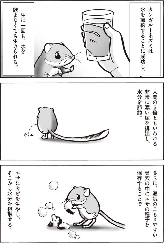 性欲が最強 水を一生飲まなくても平気 知られざる生物の驚きの生態