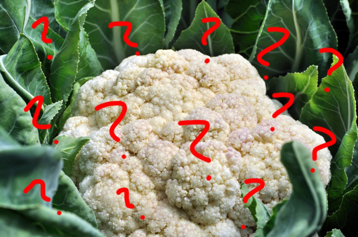 Cabbage