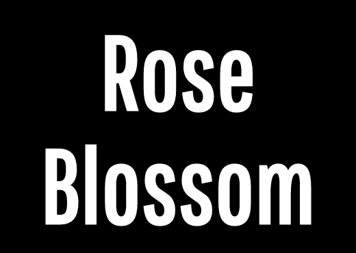 Riverdale Trivia Riverdale Amino