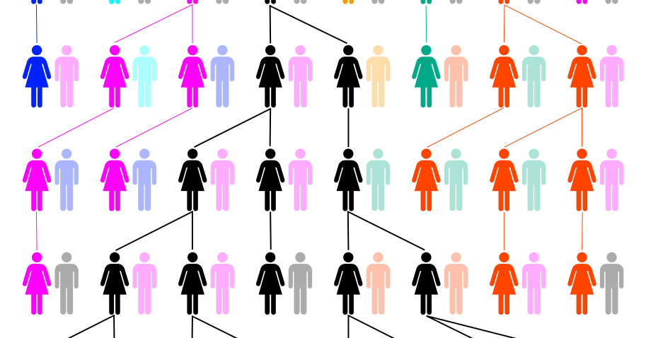 13 Seriously Fascinating Wikipedia Pages You Probably Shouldn T Read After Midnight