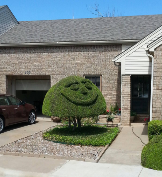 This topiary that's in a really, really swell mood.