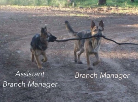 These bark, er, bank employees.