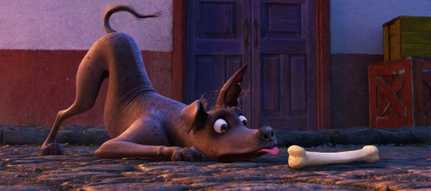 Dante, the dog from Coco, belongs to a breed called "Xoloitzcuintli", or just "Xolo" for short.