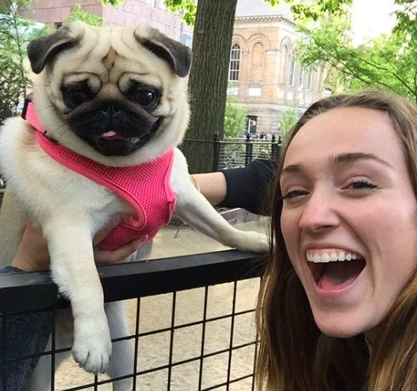 Hi guys! My name is Syd and I LOVE pugs. Serving as BuzzFeed's unofficial pug correspondent, I felt it was my journalistic duty to write an end-of-the-year roundup of the most ~iconic~ and ~influential~ pugs of 2017. While the following puglets are my personal favorites, I'd love it if you'd share your favorite Instapugs in the comments!