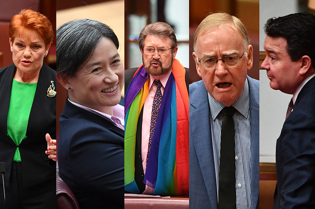The Same Sex Marriage Bill Just Passed The Senate 8981