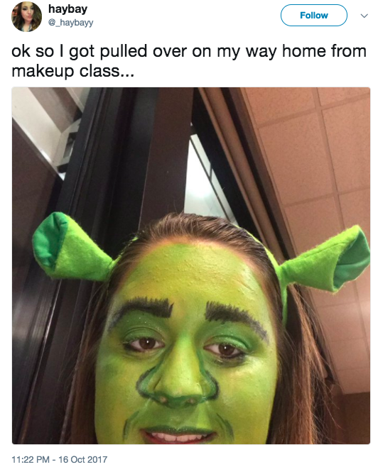 The teen who got pulled over while done up in Shrek makeup: