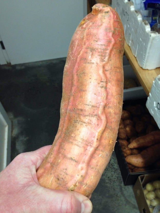 You know you shouldn't be looking at this thick AF sweet potato: